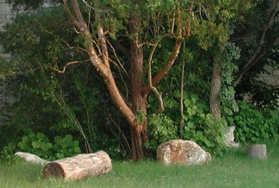 diurnal_archives023005.jpg