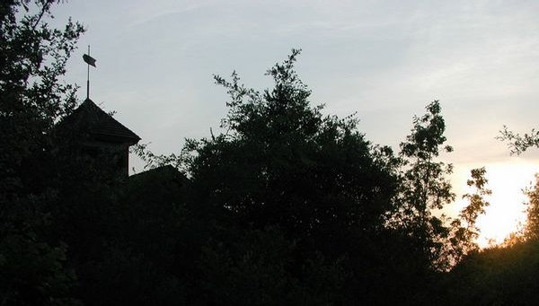 diurnal_archives023006.jpg