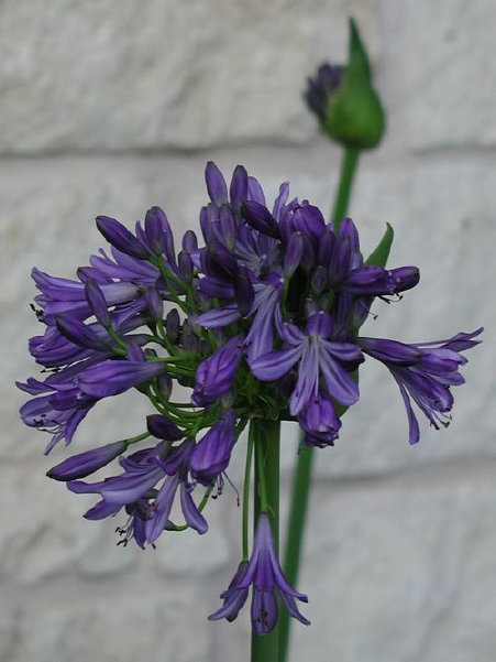 diurnal_archives028004.jpg