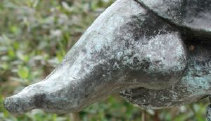 diurnal_archives030007.jpg