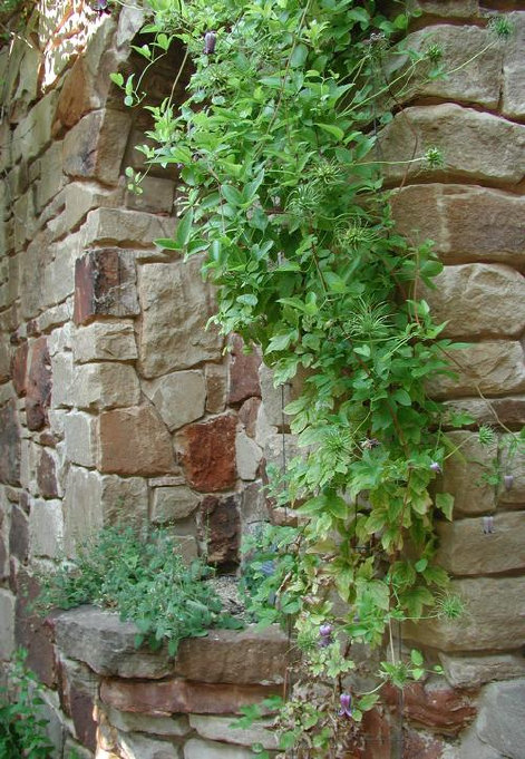 diurnal_archives036005.jpg