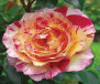 misc_poetry001005.jpg