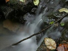 misc_poetry011003.jpg