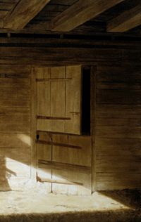 eveninglight2.jpg