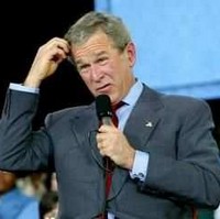 bush-idiot2.jpg