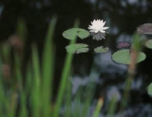 purple028003.jpg