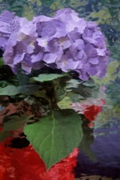 purple047001.jpg