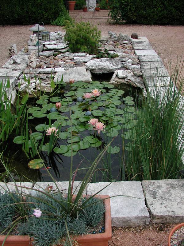08-05-10pond.jpg