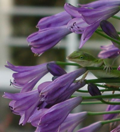 scrapbook019009.jpg
